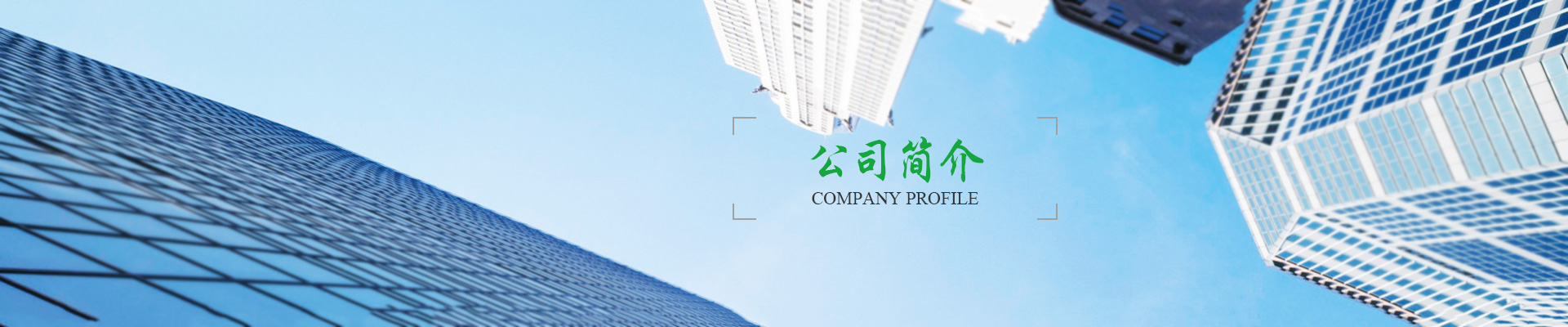 公司簡(jiǎn)介